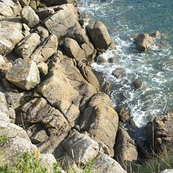 dscf9157.jpg